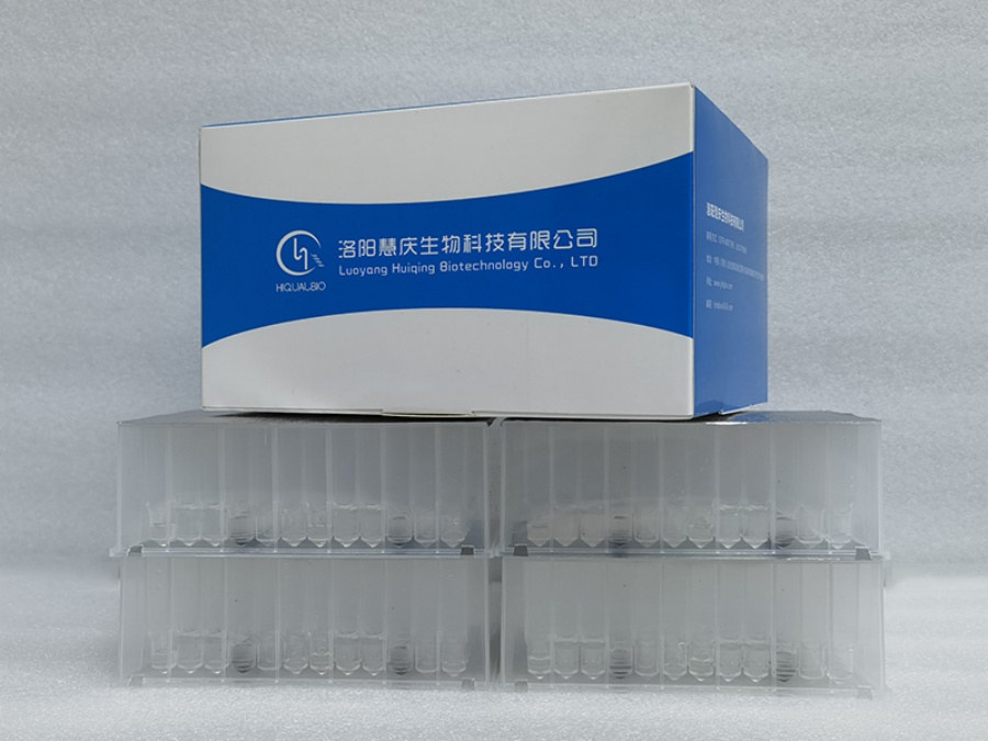 動(dòng)物組織中核酸的提取有哪些應(yīng)用？提取注意事項(xiàng)有哪些？